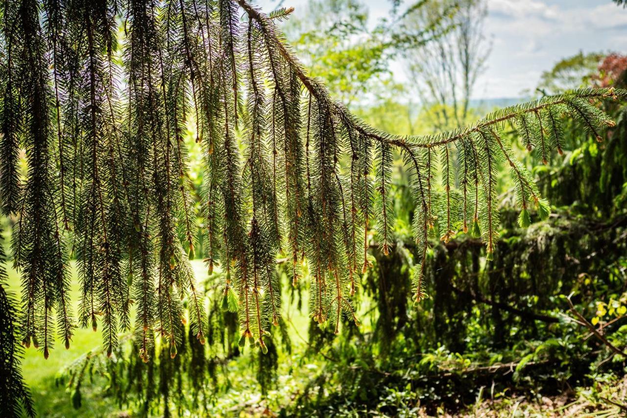 Gemuetliches, Heimeliges Ferienhaus Gars am Kamp Esterno foto