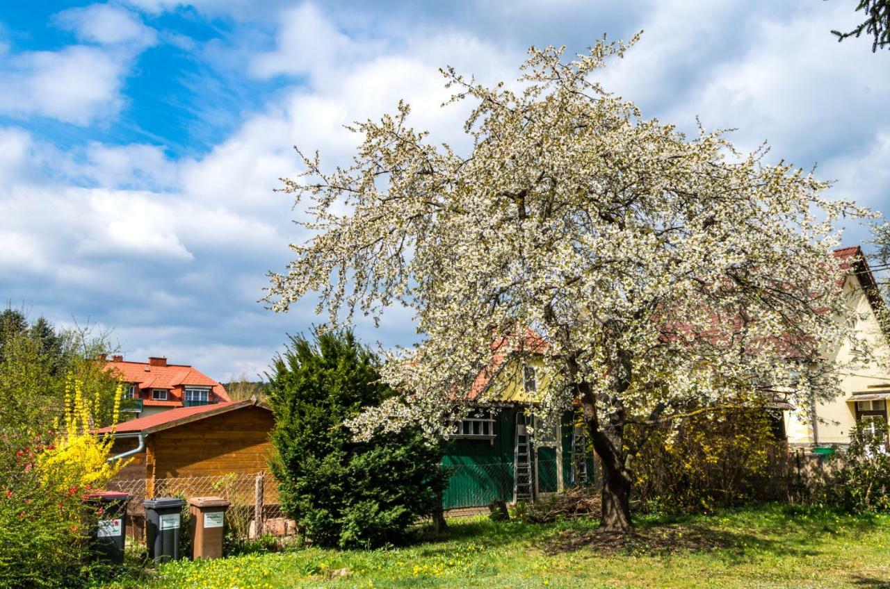 Gemuetliches, Heimeliges Ferienhaus Gars am Kamp Esterno foto